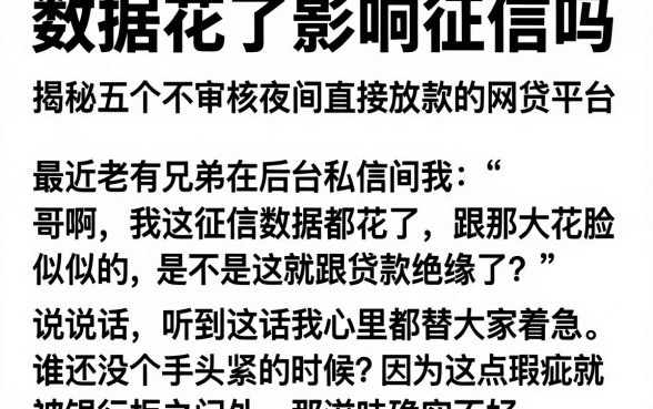 数据花了影响征信吗,揭秘五个不审核夜间直接放款的网贷平台