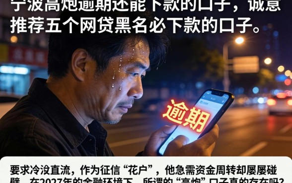 宁波高炮逾期还能下款的口子,诚意推荐五个网贷黑户必下款的口子