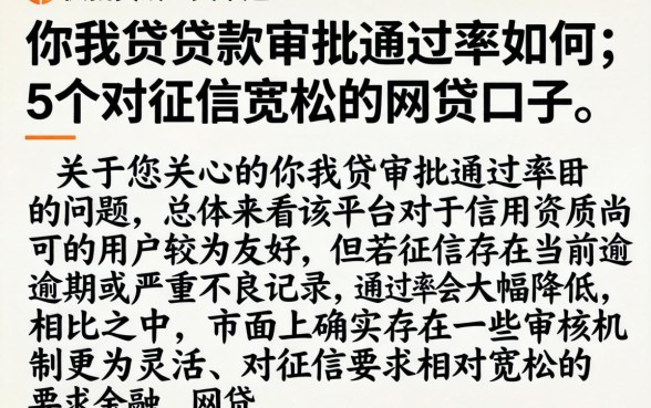 你我贷贷款审批通过率如何,详细阐述5个对征信宽松的网贷口子