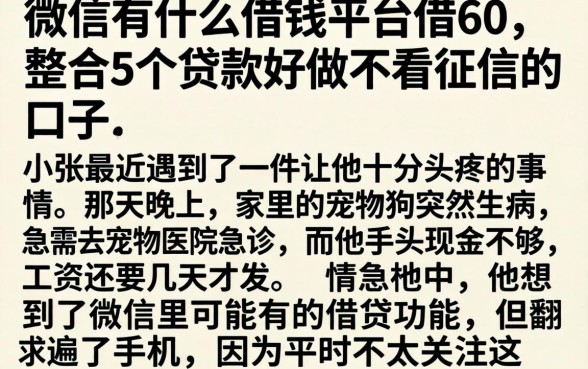 微信有什么借钱平台借60，整合5个贷款好做不看征信的口子