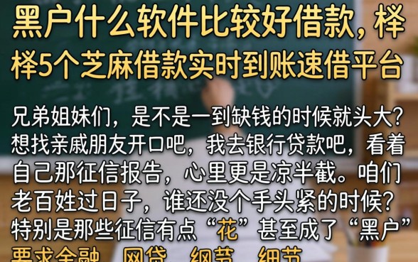 黑户什么软件比较好借款，枚举5个芝麻借款实时到账速借平台