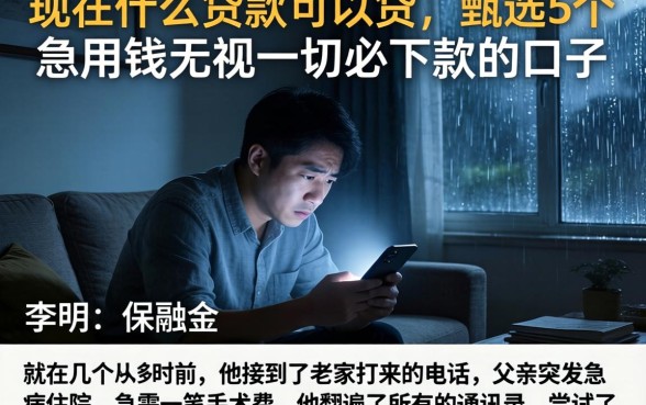 现在什么贷款可以贷，甄选5个急用钱无视一切必下款的口子