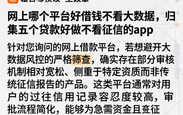 网上哪个平台好借钱不看大数据，归集五个贷款好做不看征信的app