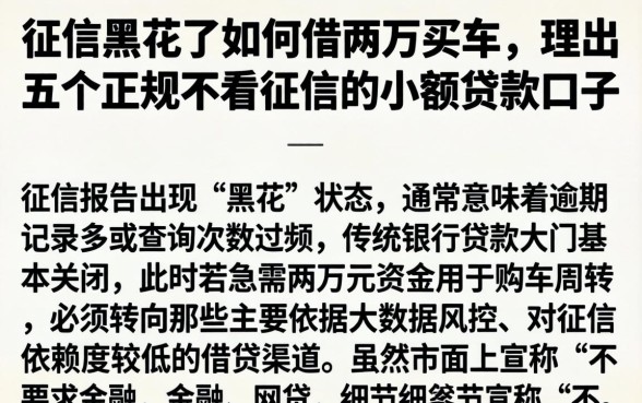 征信黑花了如何借两万买车，理出五个正规不看征信的小额贷款口子