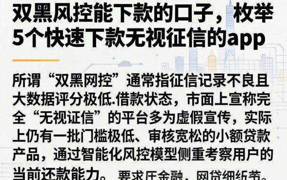 双黑风控能下款的口子，枚举5个快速下款无视征信的app