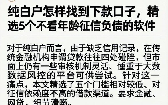 纯白户怎样找到下款口子，精选5个不看年龄征信负债的软件