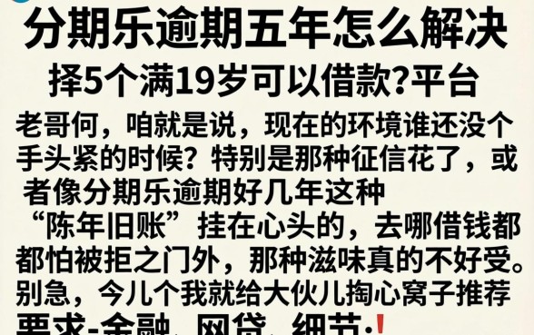 分期乐逾期五年怎么解决，枚举5个满19岁可以借款的平台