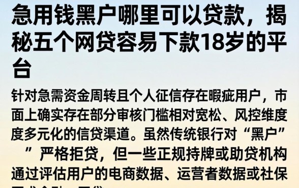 急用钱黑户哪里可以贷款,揭秘五个网贷容易下款18岁的平台