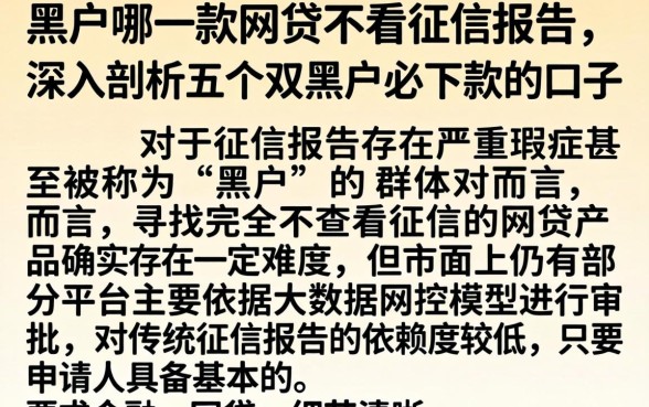 黑户哪一款网贷不看征信报告，深入剖析五个双黑户必下款的口子