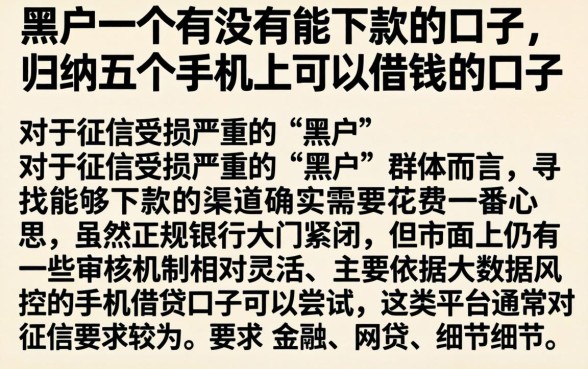 黑户一个有没有能下款的口子，归纳五个手机上可以借钱的口子