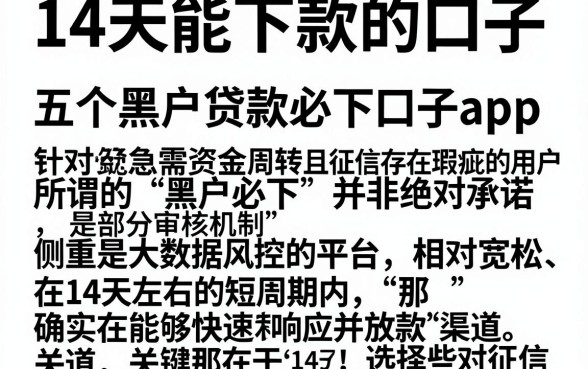 14天能下款的口子，详细阐述五个黑户贷款必下口子app