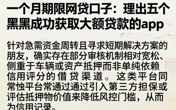 一个月期限的网贷口子，理出五个黑户成功获取大额贷款的app