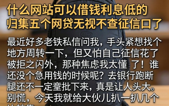 什么网站可以借钱利息低的,归集五个网贷无视不查征信口子
