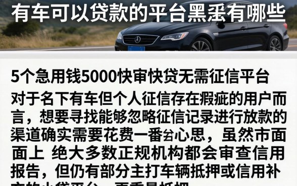 有车可以贷款的平台黑户有哪些，详尽说明5个急用钱5000快审快贷无需征信平台