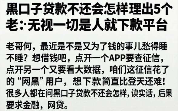 黑口子贷款不还会怎样，理出5个无视一切是人就下款平台