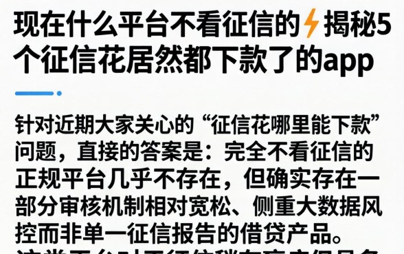 现在什么平台不看征信的,揭秘5个征信花居然都下款了的app