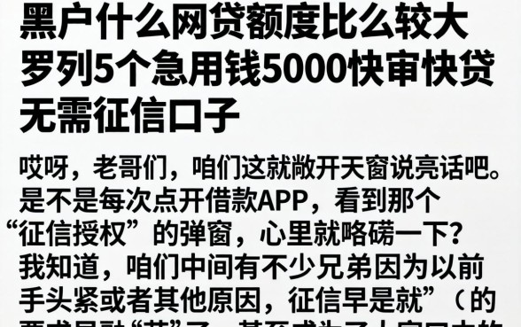 黑户什么网贷额度比较大，罗列5个急用钱5000快审快贷无需征信口子