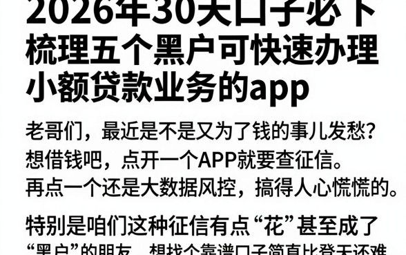 2026年30天口子必下，梳理五个黑户可快速办理小额贷款业务的app