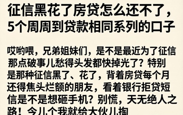 征信黑花了房贷怎么还不了，概括5个周周到贷款相同系列的口子