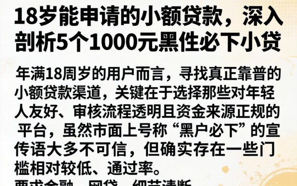 18岁能申请的小额贷款，深入剖析5个1000元黑户必下小贷