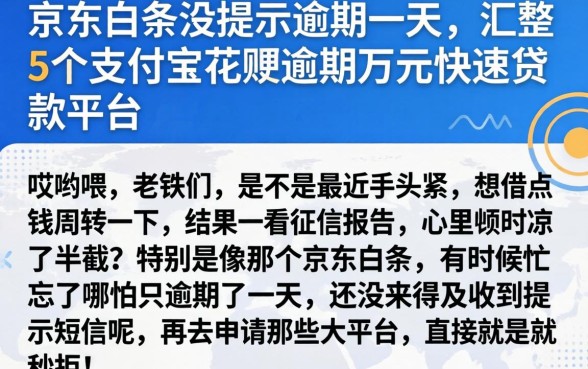 京东白条没提示逾期一天，汇整5个支付宝花呗逾期万元快速贷款平台