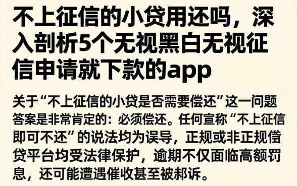 不上征信的小贷用还吗，深入剖析5个无视黑白无视征信申请就下款的app
