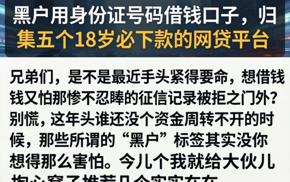 黑户用身份证号码借钱口子，归集五个18岁必下款的网贷平台