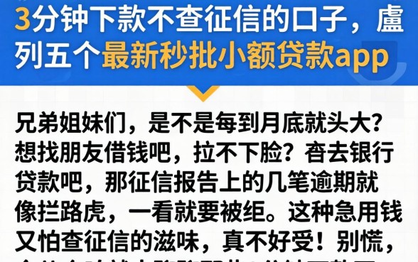 3分钟下款不查征信的口子，胪列五个最新秒批小额贷款app
