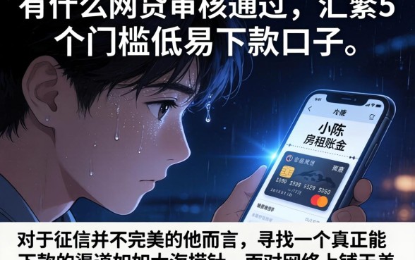 有什么网贷审核通过，汇整5个门槛低易下款口子