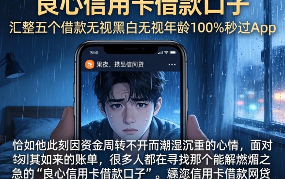 良心信用卡借款口子，汇整五个借款无视黑白无视年龄100%秒过app