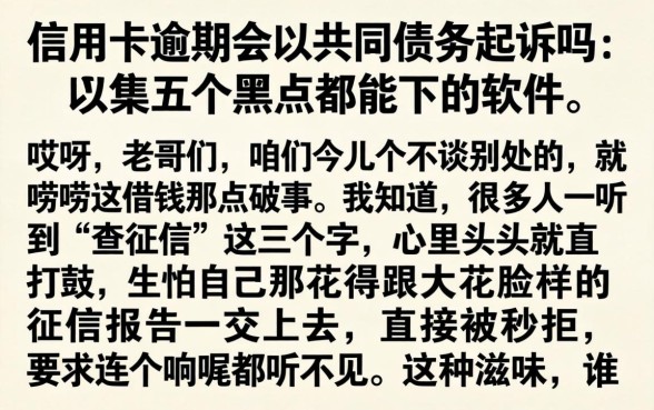 信用卡逾期会以共同债务起诉吗，归集五个黑户都能下的软件