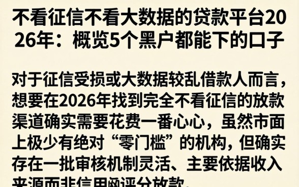 不看征信不看大数据的贷款平台2026年，概览5个黑户都能下的口子