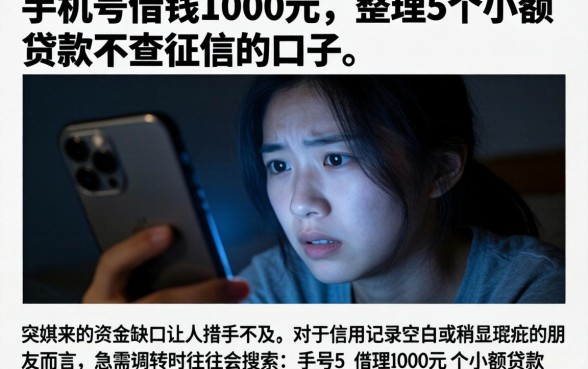 手机号借钱1000元,整理5个小额贷款不查征信的口子