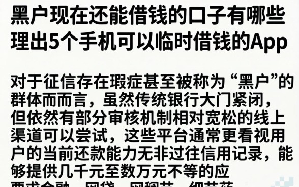 黑户现在还能借钱的口子有哪些,理出5个手机可以临时借钱的app