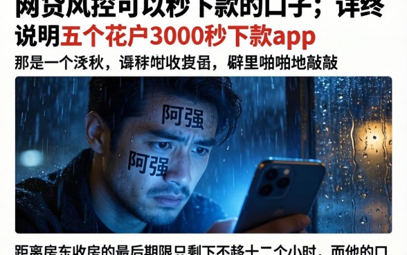 网贷风控可以秒下款的口子，详尽说明五个花户3000秒下款app