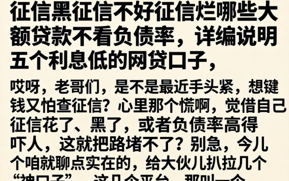 征信黑征信不好征信烂哪些大额贷款不看负债率，详尽说明五个利息低的网贷口子