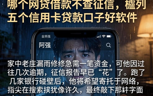 哪个网贷借款不查征信，胪列五个信用卡贷款口子好软件
