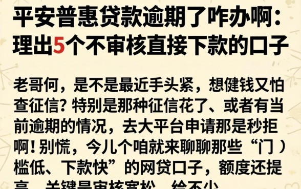平安普惠贷款逾期了咋办啊，理出5个不审核直接下款的口子
