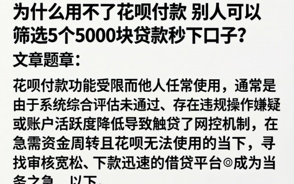 为什么用不了花呗付款 别人可以，筛选5个5000块贷款秒下口子