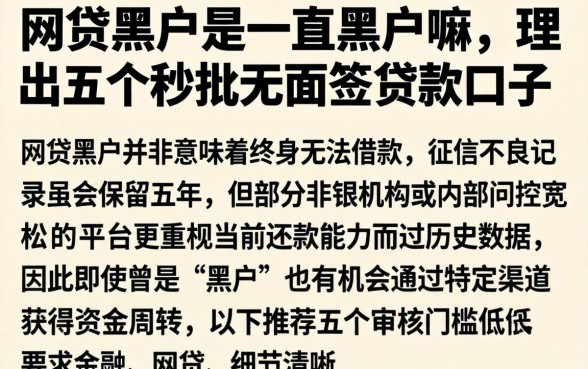 网贷黑户是一直黑户嘛，理出五个秒批无面签贷款口子