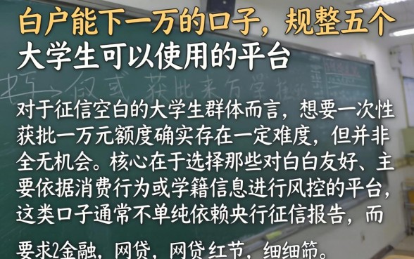白户能下一万的口子，规整五个大学生可以使用的平台