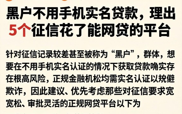 黑户不用手机实名贷款，理出5个征信花了能网贷的平台