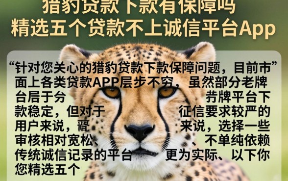 猎豹贷款下款有保障吗，精选五个贷款不上诚信平台的app