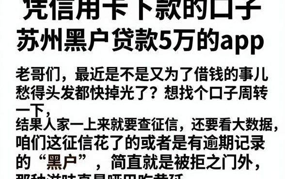 凭信用卡下款的口子，筛选五个苏州黑户贷款5万的app