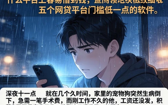 什么平台上容易借到钱，细致阐述五个网贷平台门槛低一点的软件