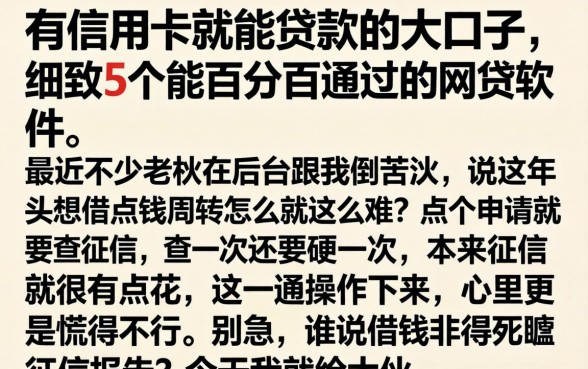 有信用卡就能贷款的大口子,细致阐述5个能百分百通过的网贷软件