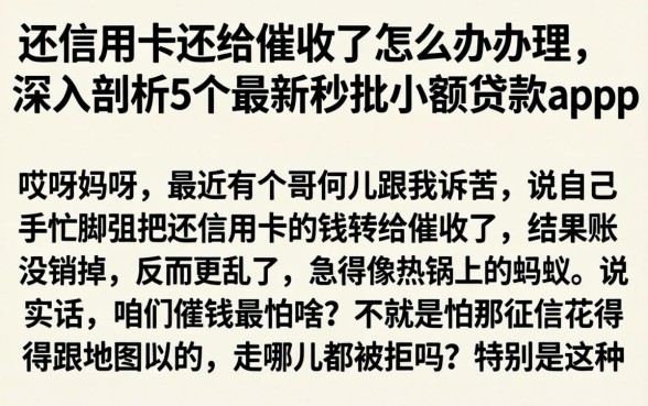 还信用卡还给催收了怎么办理,深入剖析5个最新秒批小额贷款app