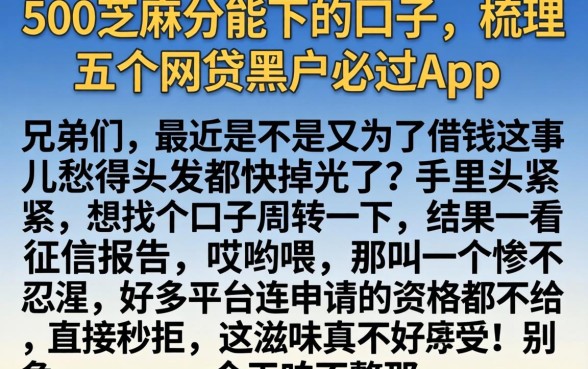 500芝麻分能下的口子，梳理五个网贷黑户必过app
