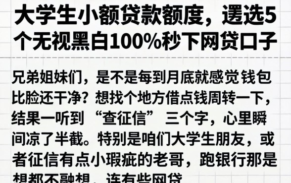 大学生小额贷款额度，遴选5个无视黑白100%秒下网贷口子