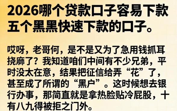 2026哪个贷款口子容易下款，详细阐述五个黑户快速下款的口子